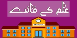 ilm ke faide essay in urdu
