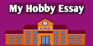 My Hobby Essay in English