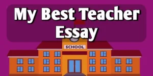 My Best Teacher Essay in English
