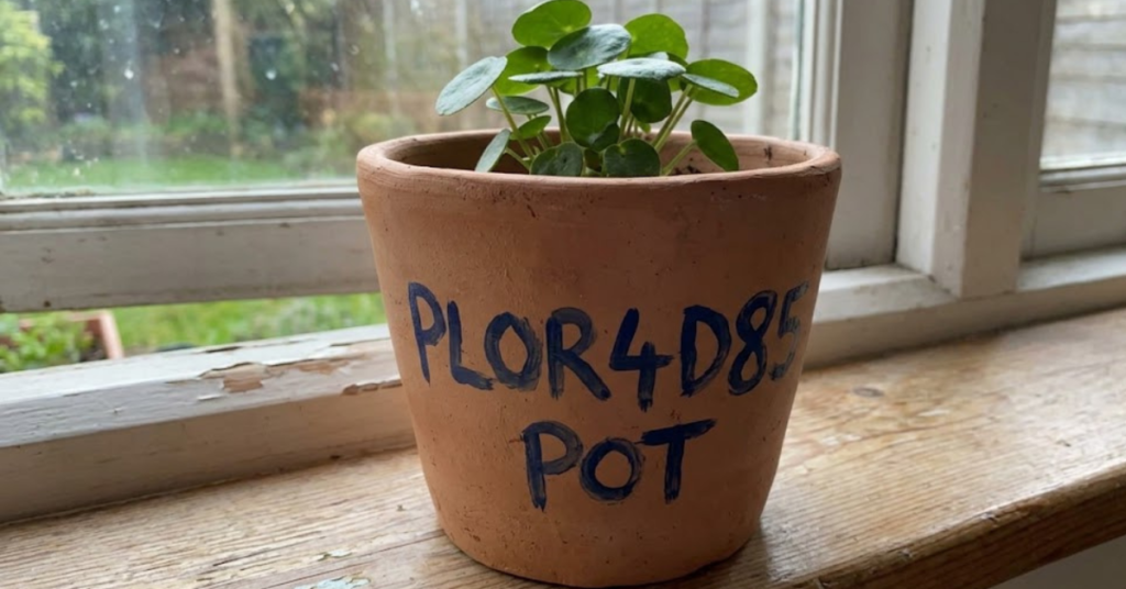 Everything You Need to Know About the Plor4d85 Pot