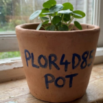 Everything You Need to Know About the Plor4d85 Pot